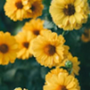 Meet your Posher, Madeline